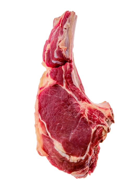 Un gran bistec de costella cru ("Tomahawk") amb os, dret sobre fons blanc.